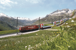 Cruise Glacier Express (13)