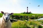 Friesland - Waddeneilanden (16)