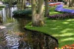 Riviercruise & Keukenhof (1)