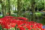 Riviercruise & Keukenhof (2)