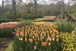 Riviercruise & Keukenhof (11)