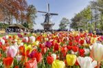 Riviercruise & Keukenhof (15)