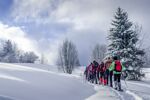 Winterreis Matrei am Brenner 